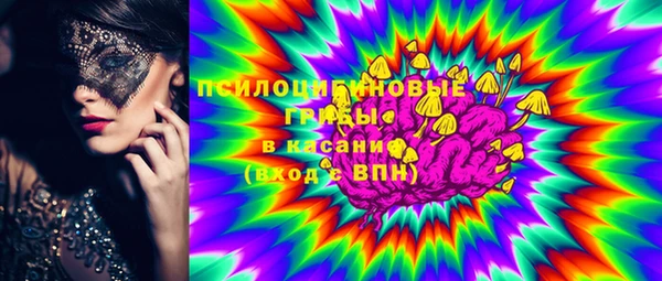 молекула духа Гусев