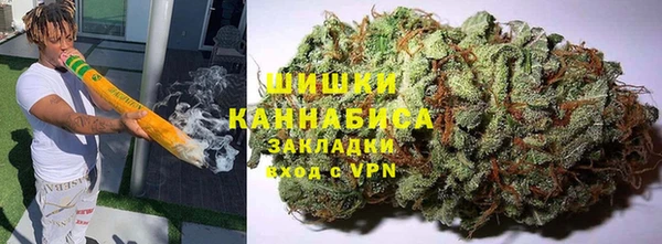 молекула духа Гусев