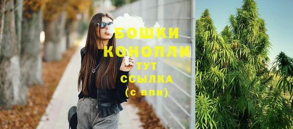 бошки Гусь-Хрустальный