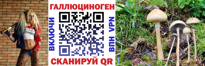 Псилоцибиновые грибы MAGIC MUSHROOMS  Новый Оскол 